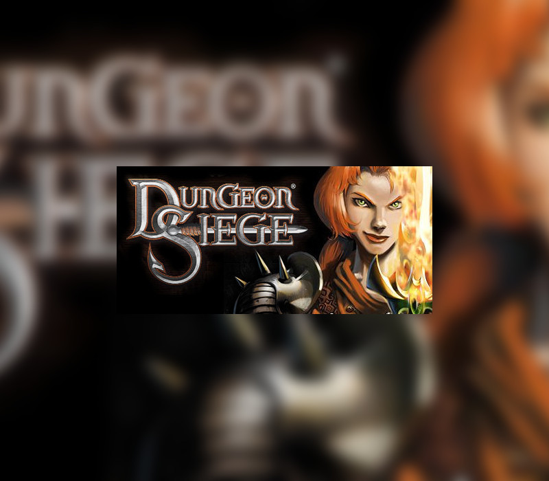 Dungeon Siege PC Steam CD Key