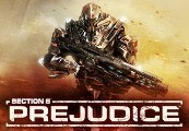 Section 8: Prejudice Steam Gift