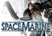 Warhammer 40,000: Space Marine – Death Guard Champion Chapter Pack DLC Steam CD Key