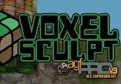 Axis Game Factory’s AGFPRO – Voxel Sculpt DLC PC Steam CD Key