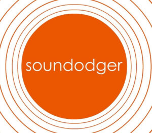 Soundodger+ Steam CD Key